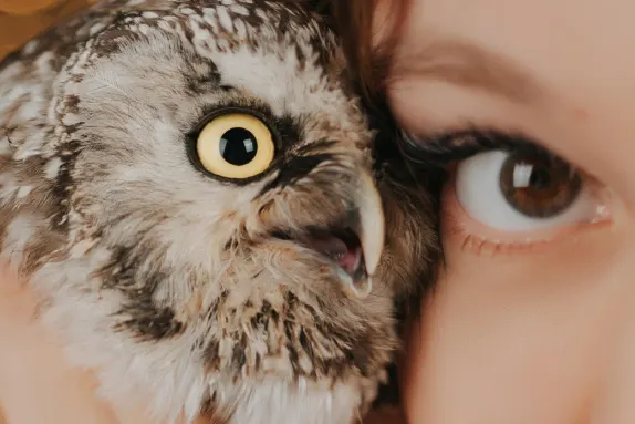 Casino Royal Winner Soporte